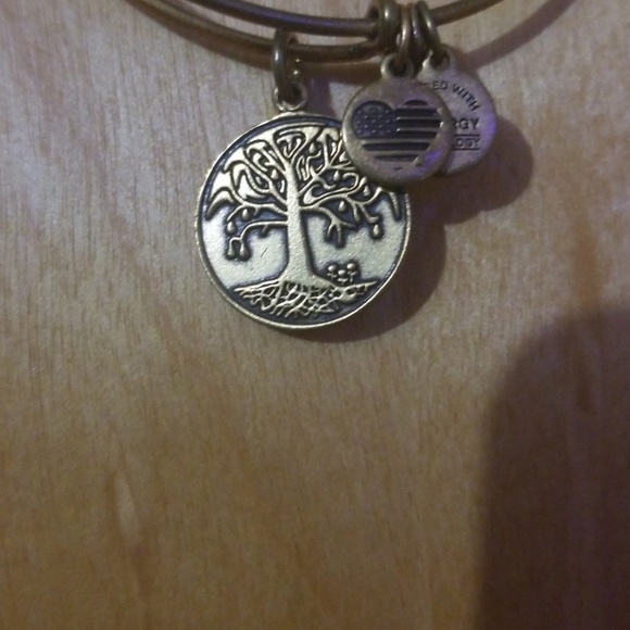 Alex and Ani Tree of Life Bracelet - Picture 2 of 3